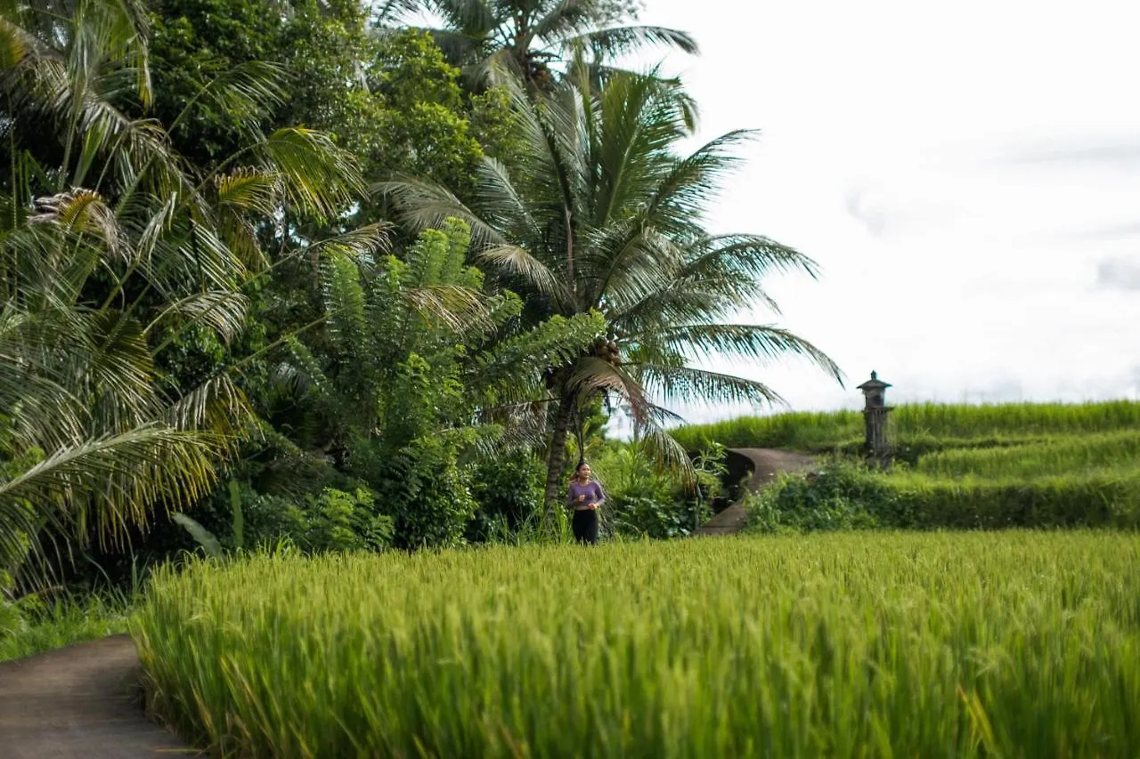 Hideaway Village Bali Ubud By Kanaan Hospitality