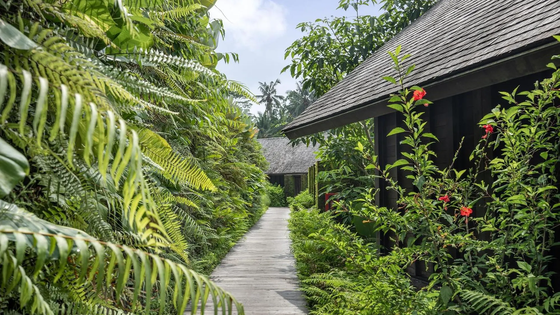 Hideaway Village Bali Ubud By Kanaan Hospitality إندونيسيا